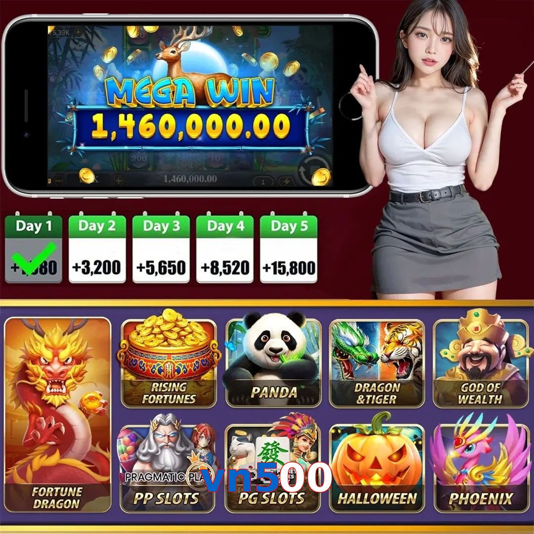 vn500