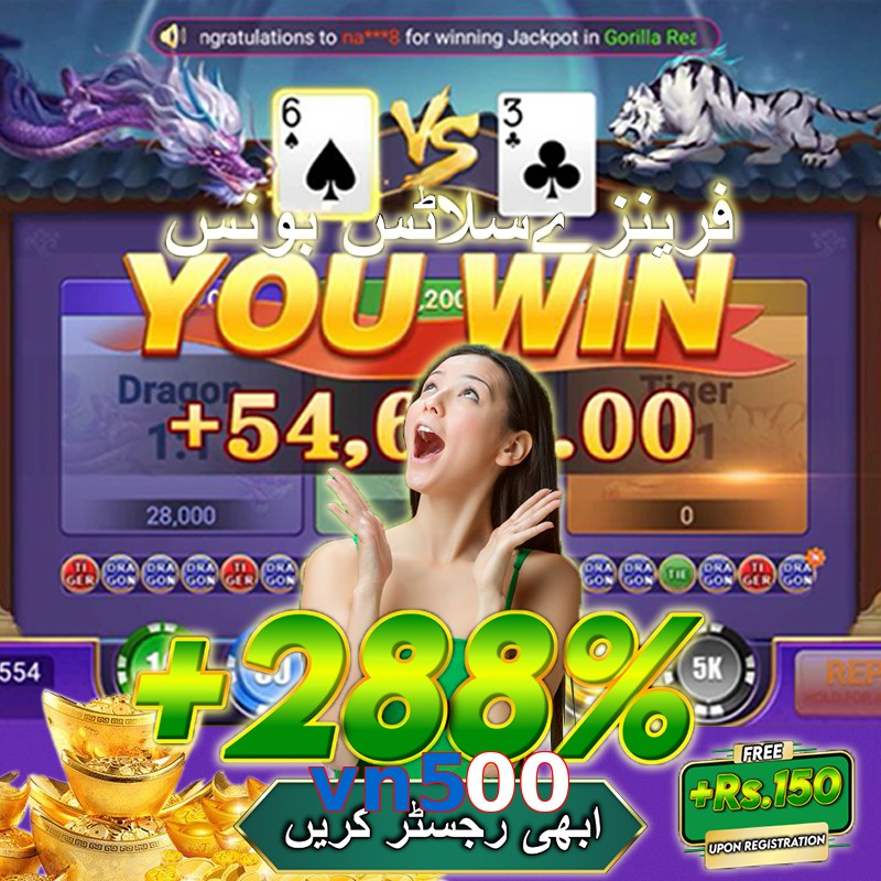 vn500