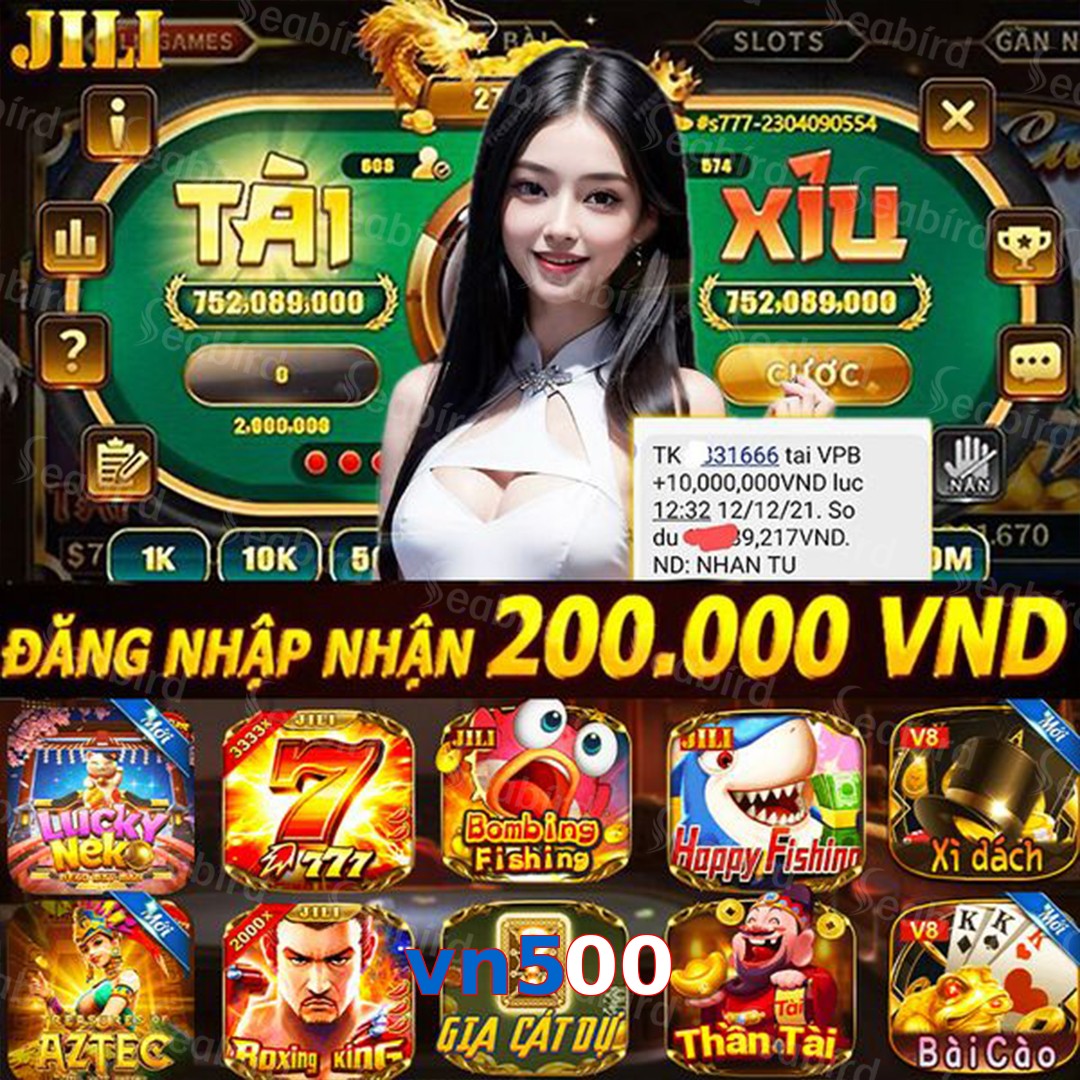 vn500