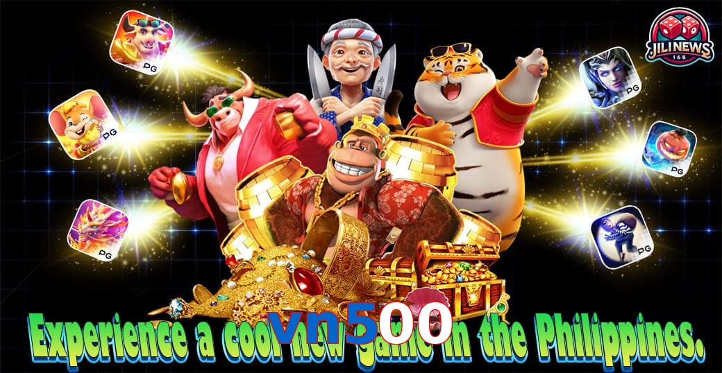 vn500