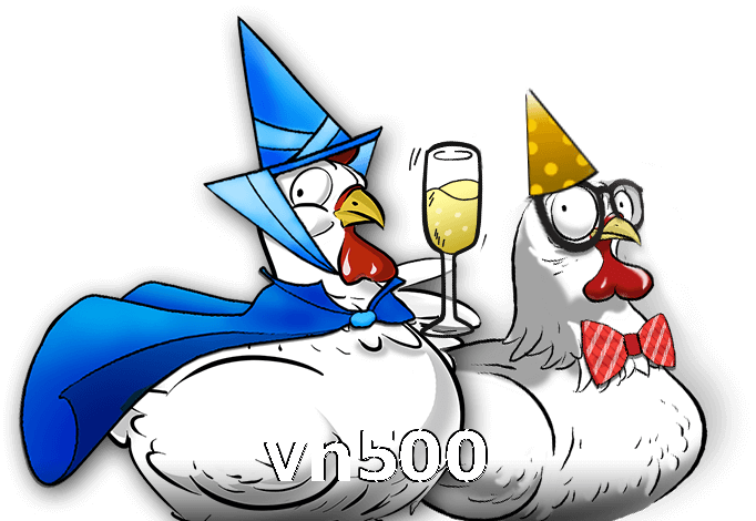 vn500