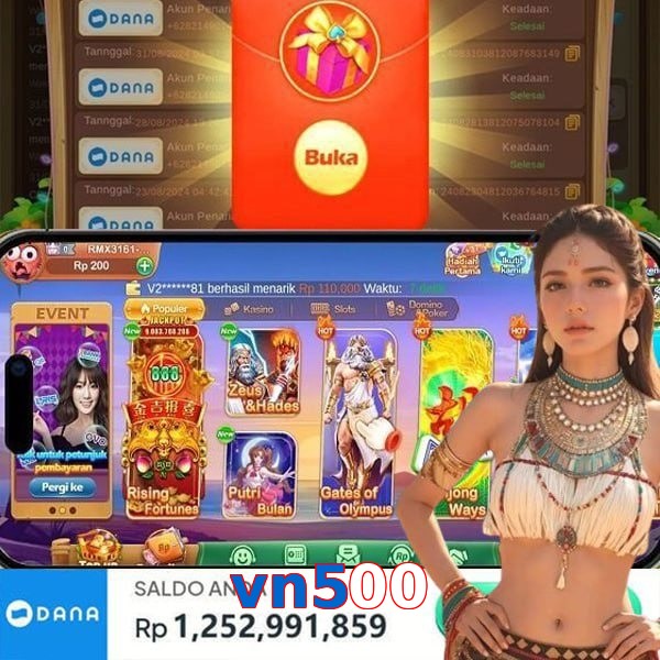 vn500