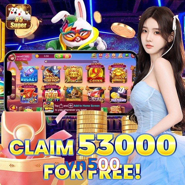 vn500