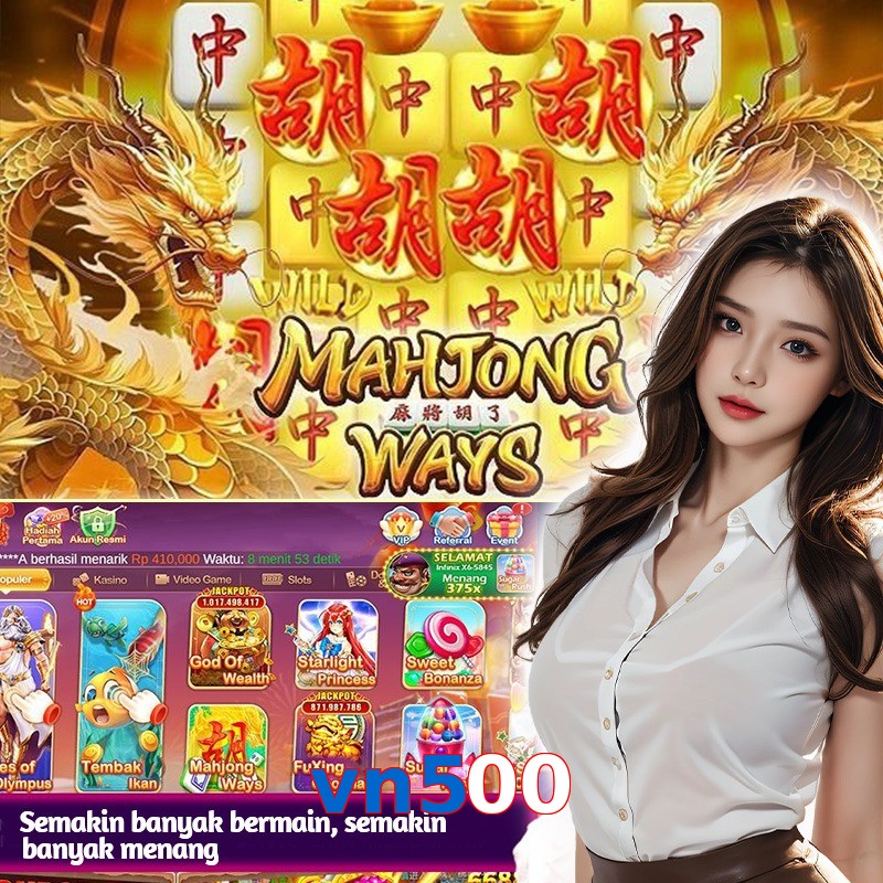 vn500