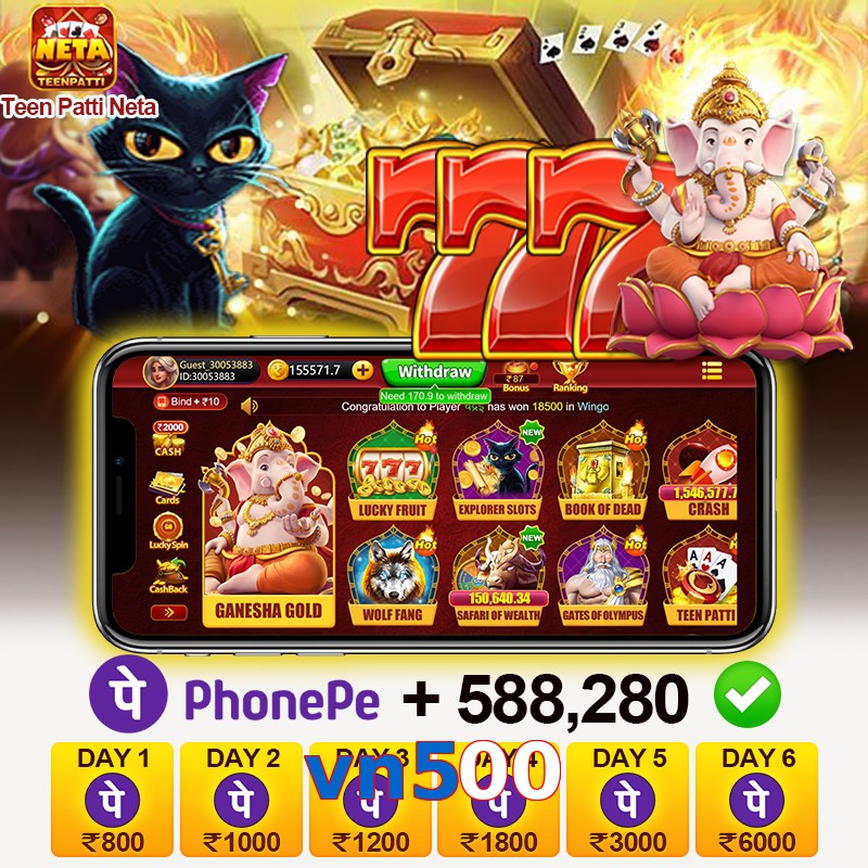 vn500