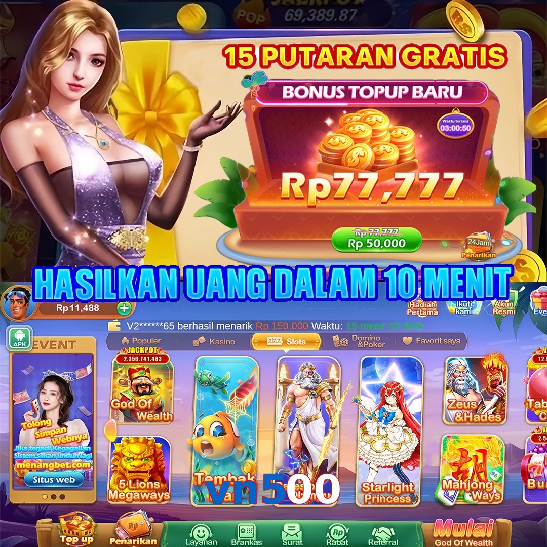 vn500