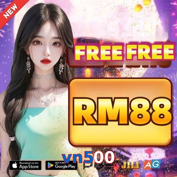 vn500