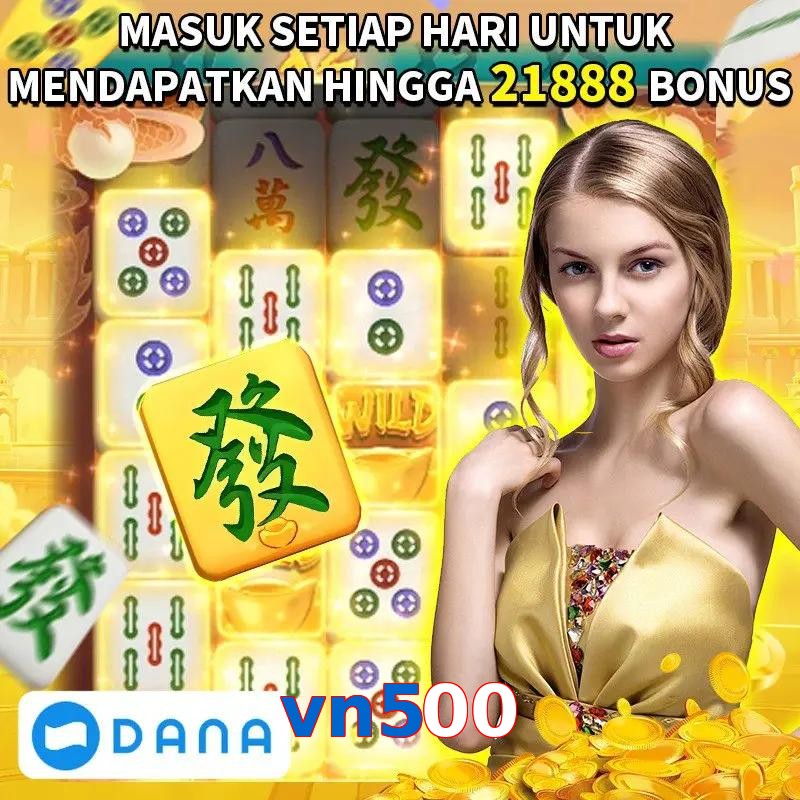vn500