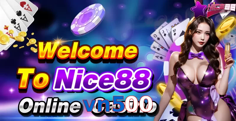 vn500