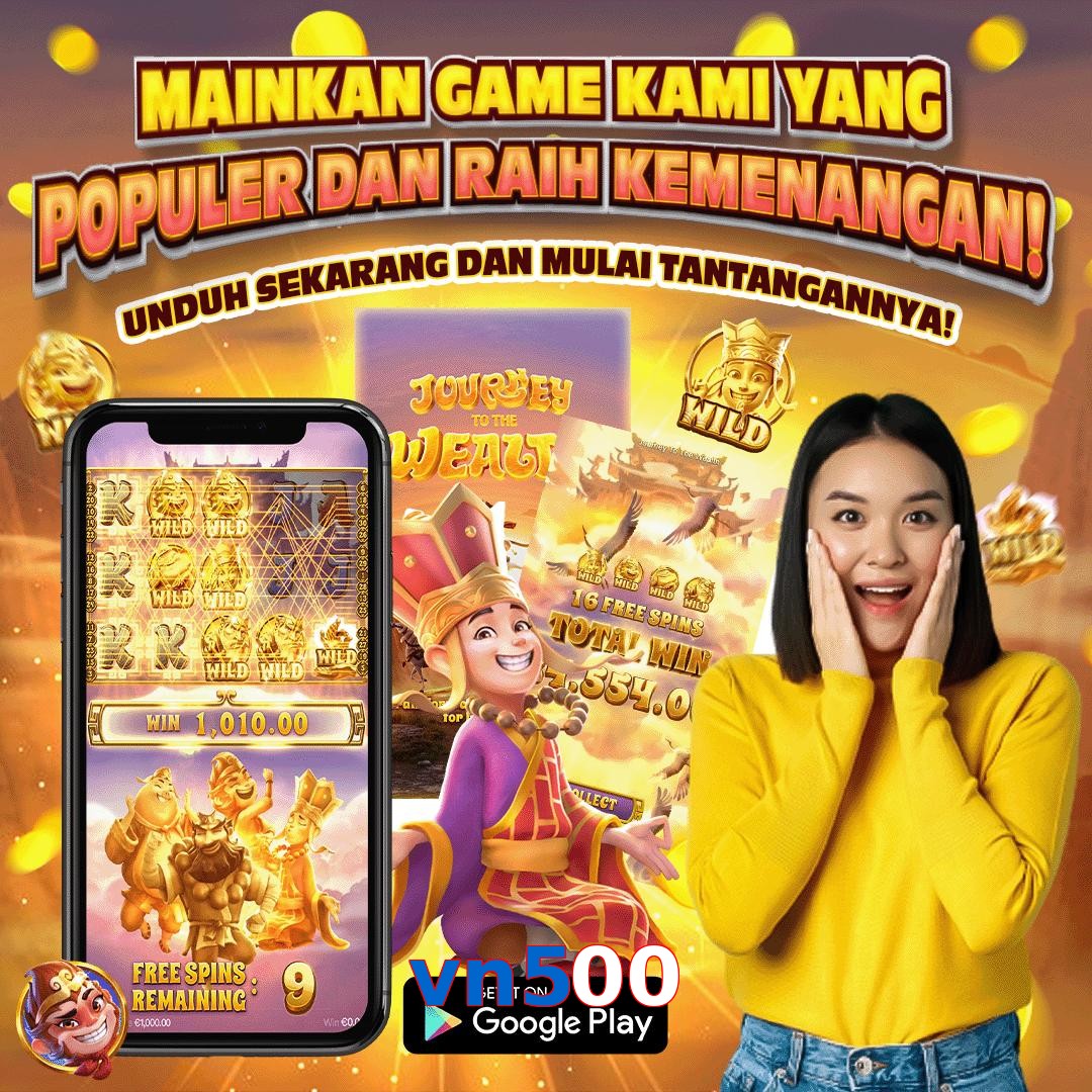 vn500