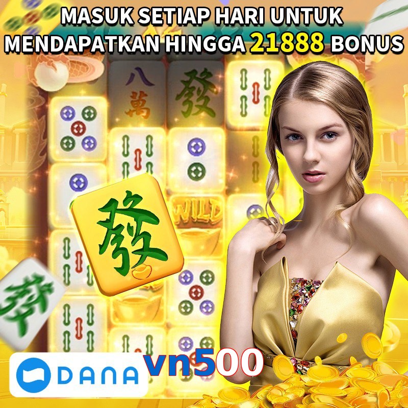 vn500