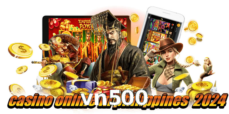vn500