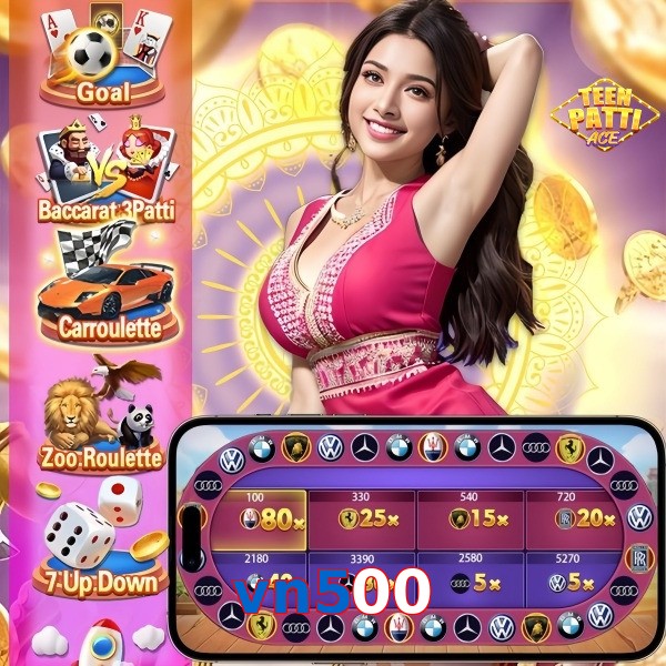 vn500