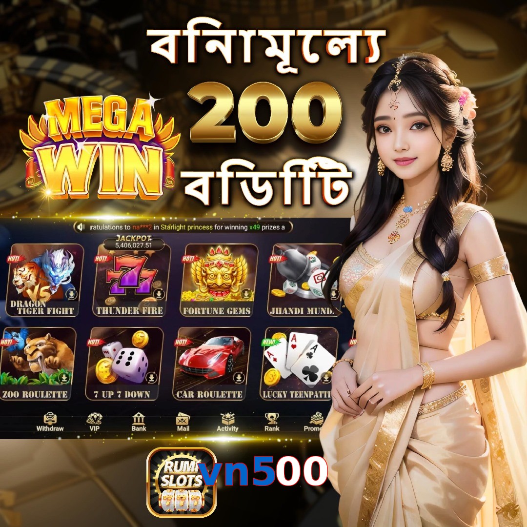vn500