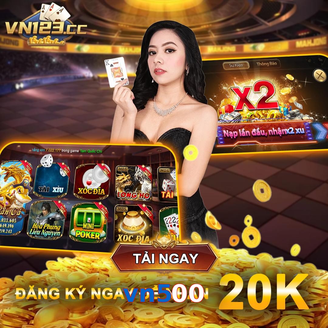 vn500