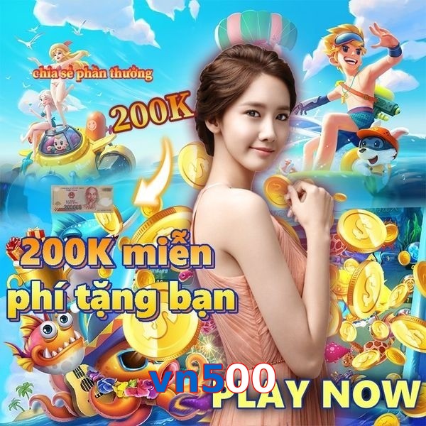 vn500