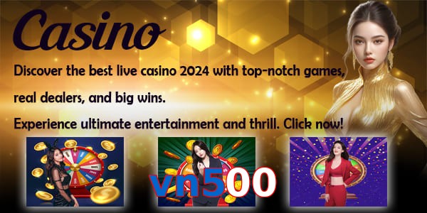 vn500