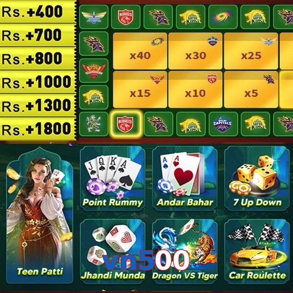 vn500
