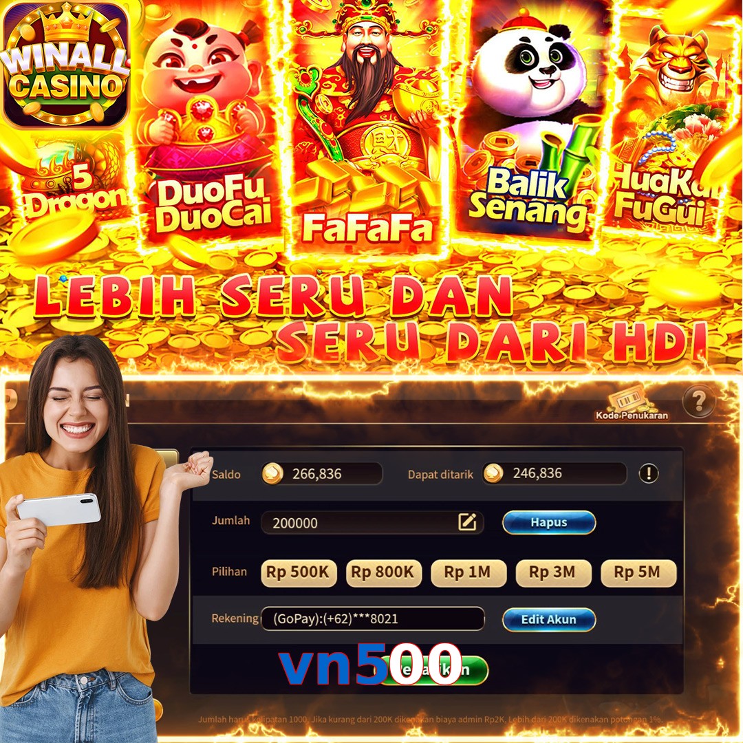 vn500