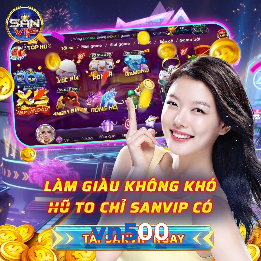 vn500