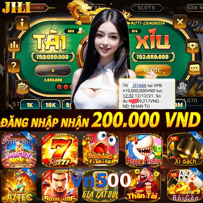 vn500