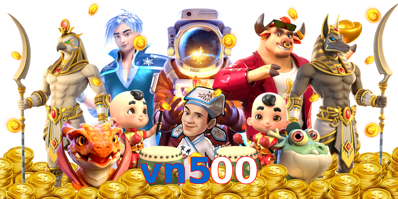 vn500