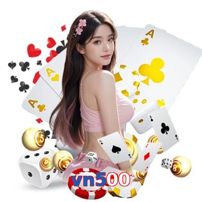 vn500