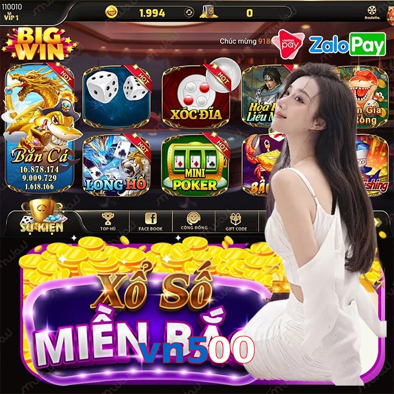 vn500