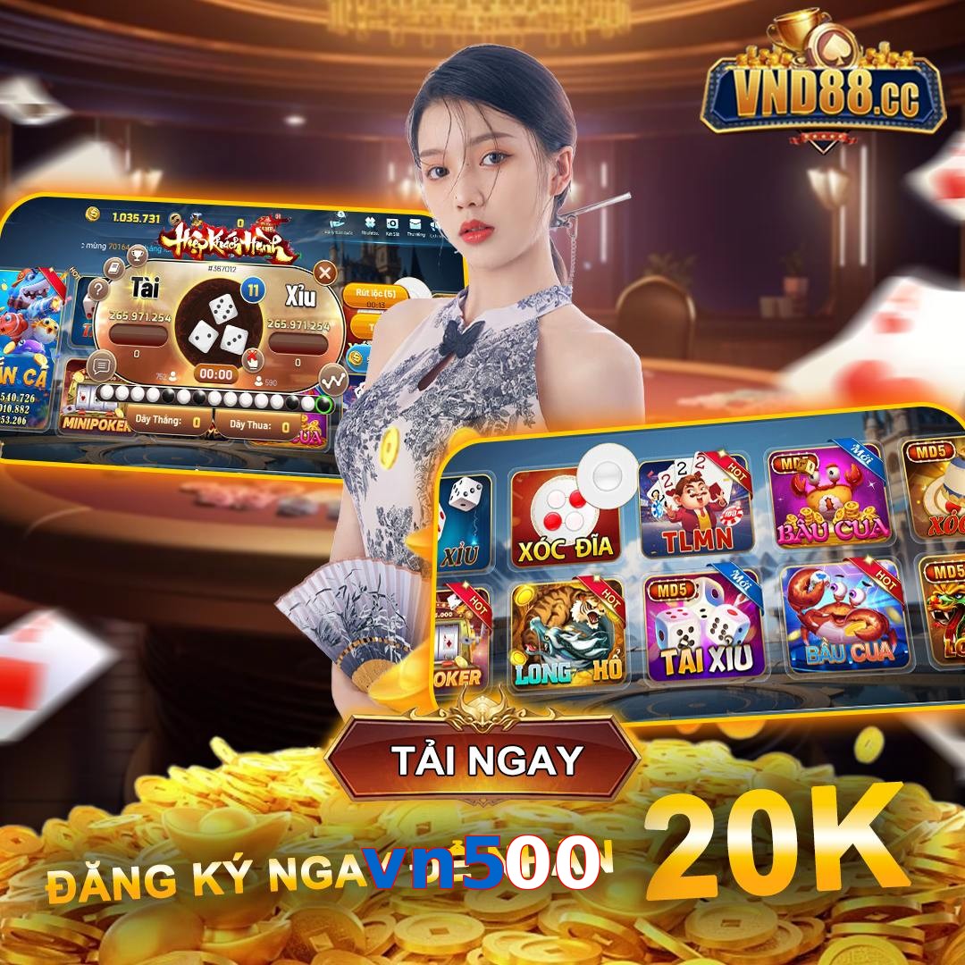 vn500