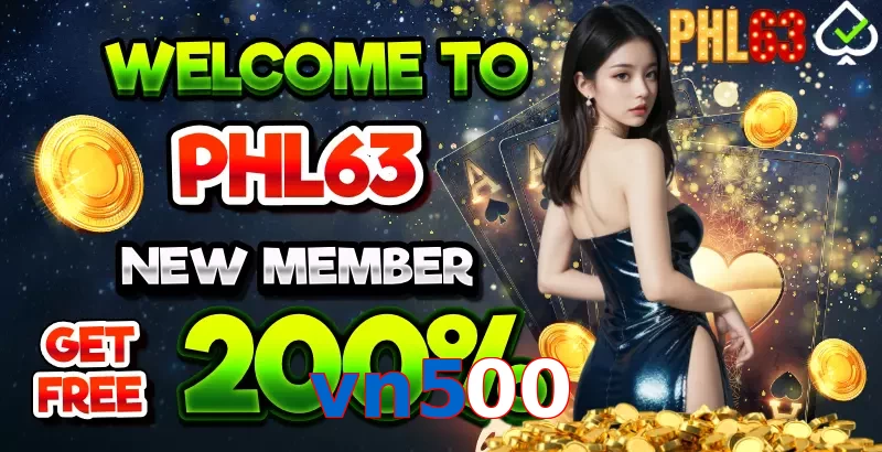 vn500