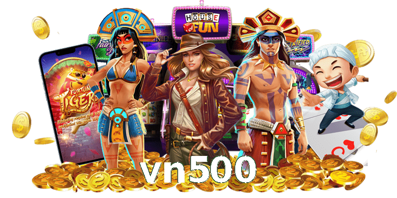 vn500
