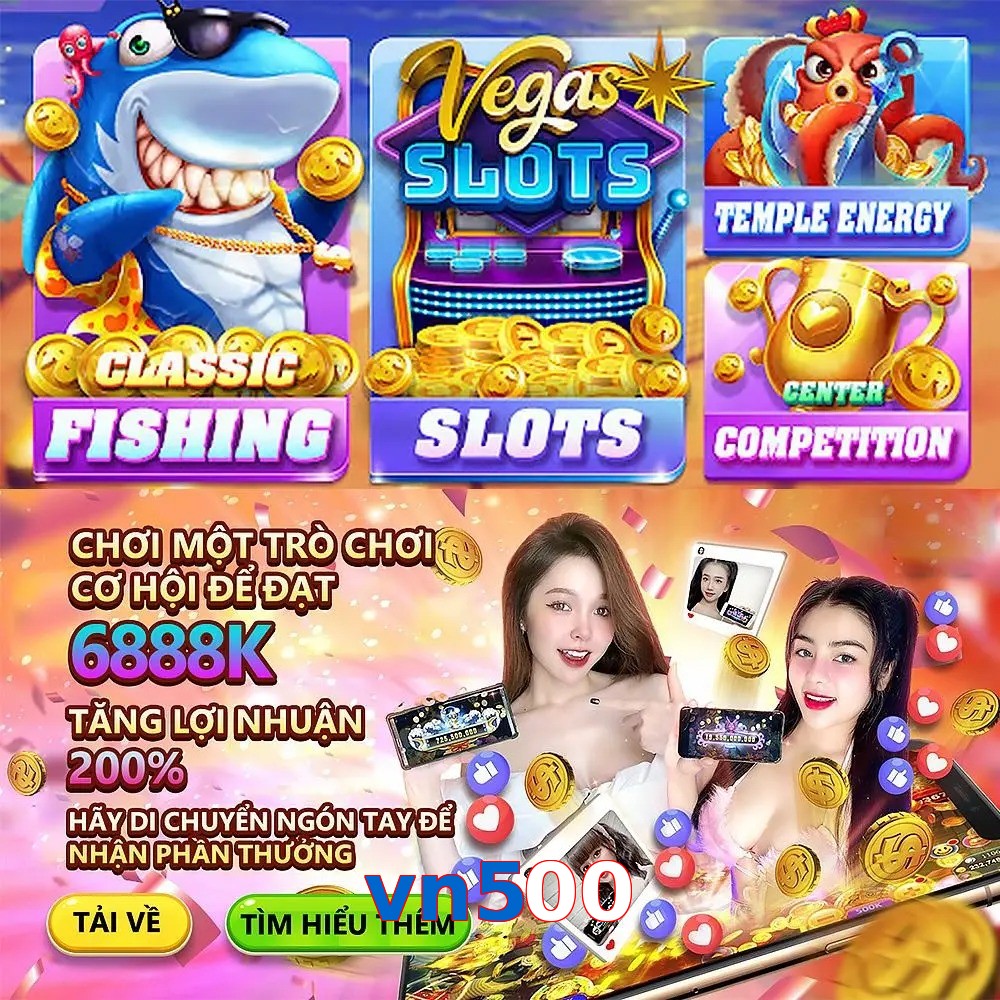 vn500