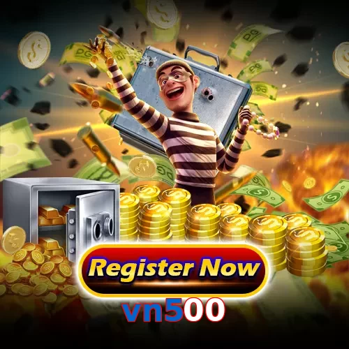 vn500