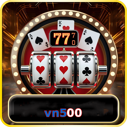 vn500