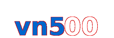 vn500