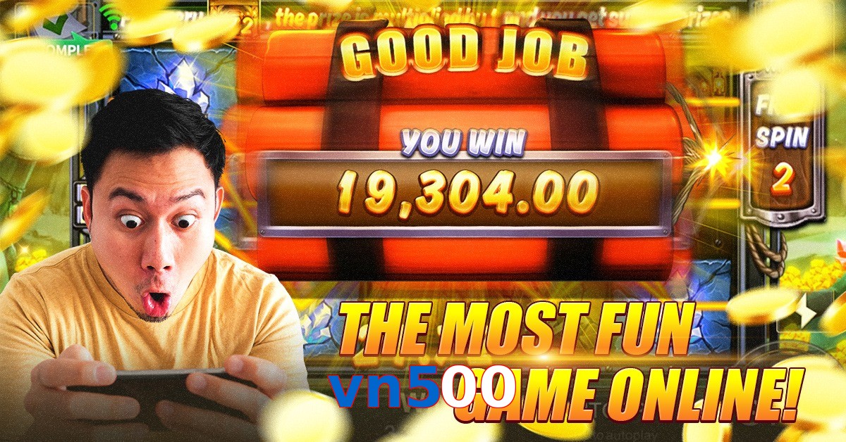 vn500