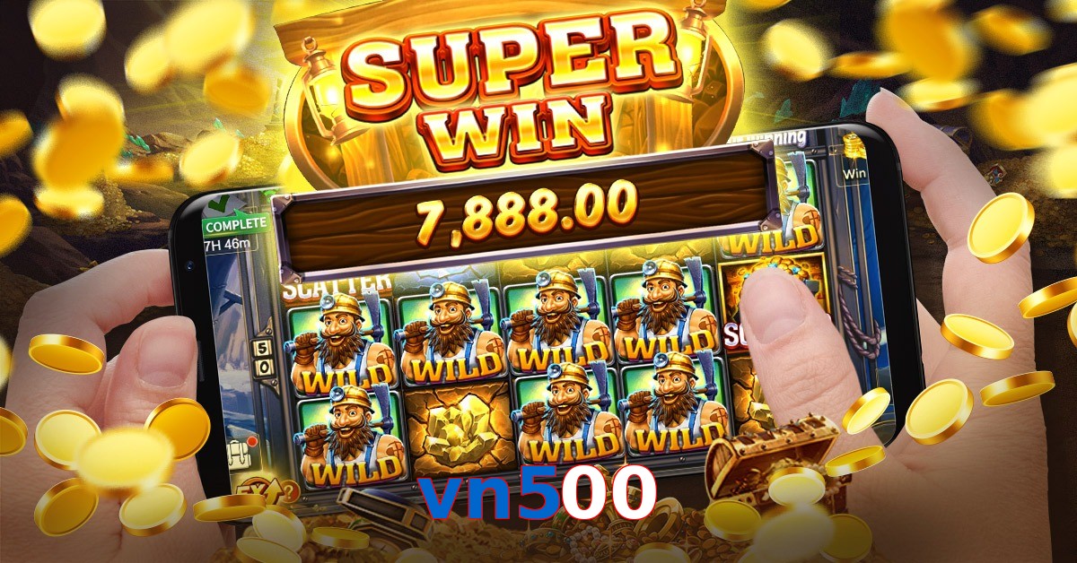 vn500