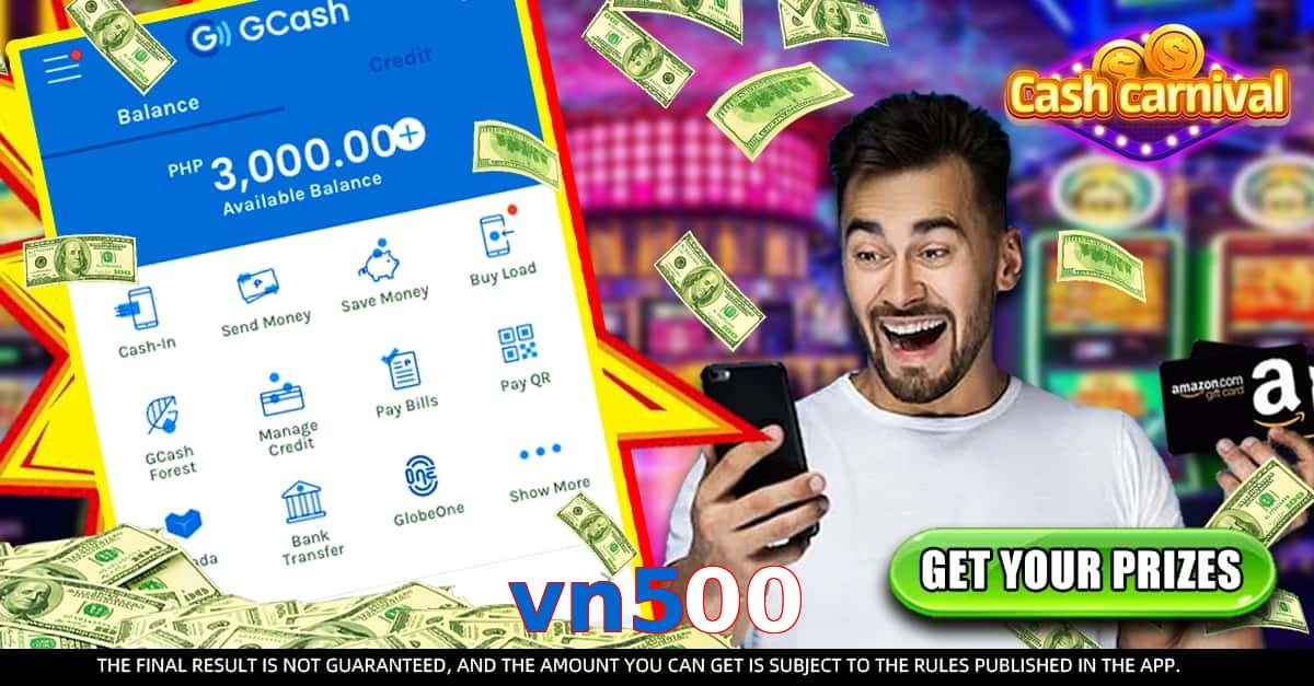 vn500