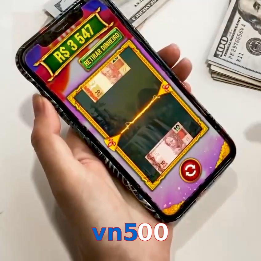 vn500