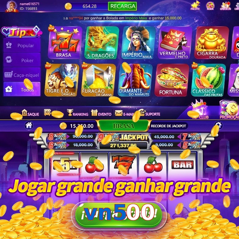 vn500