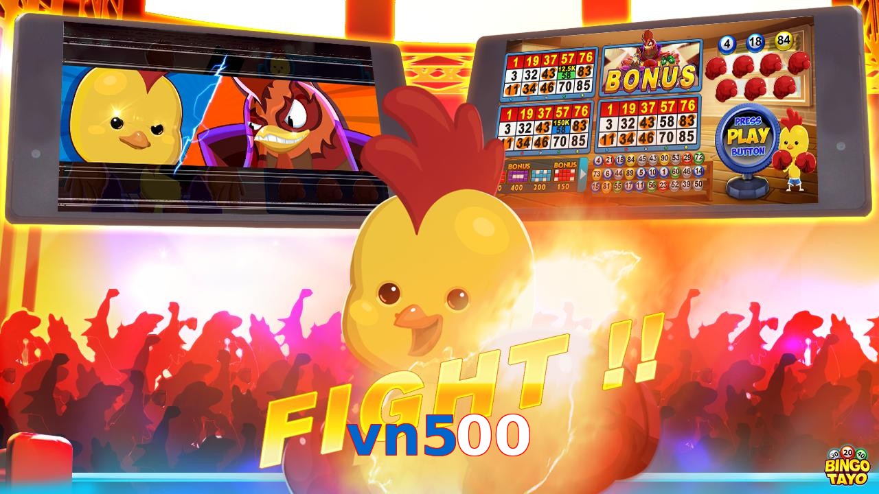 vn500