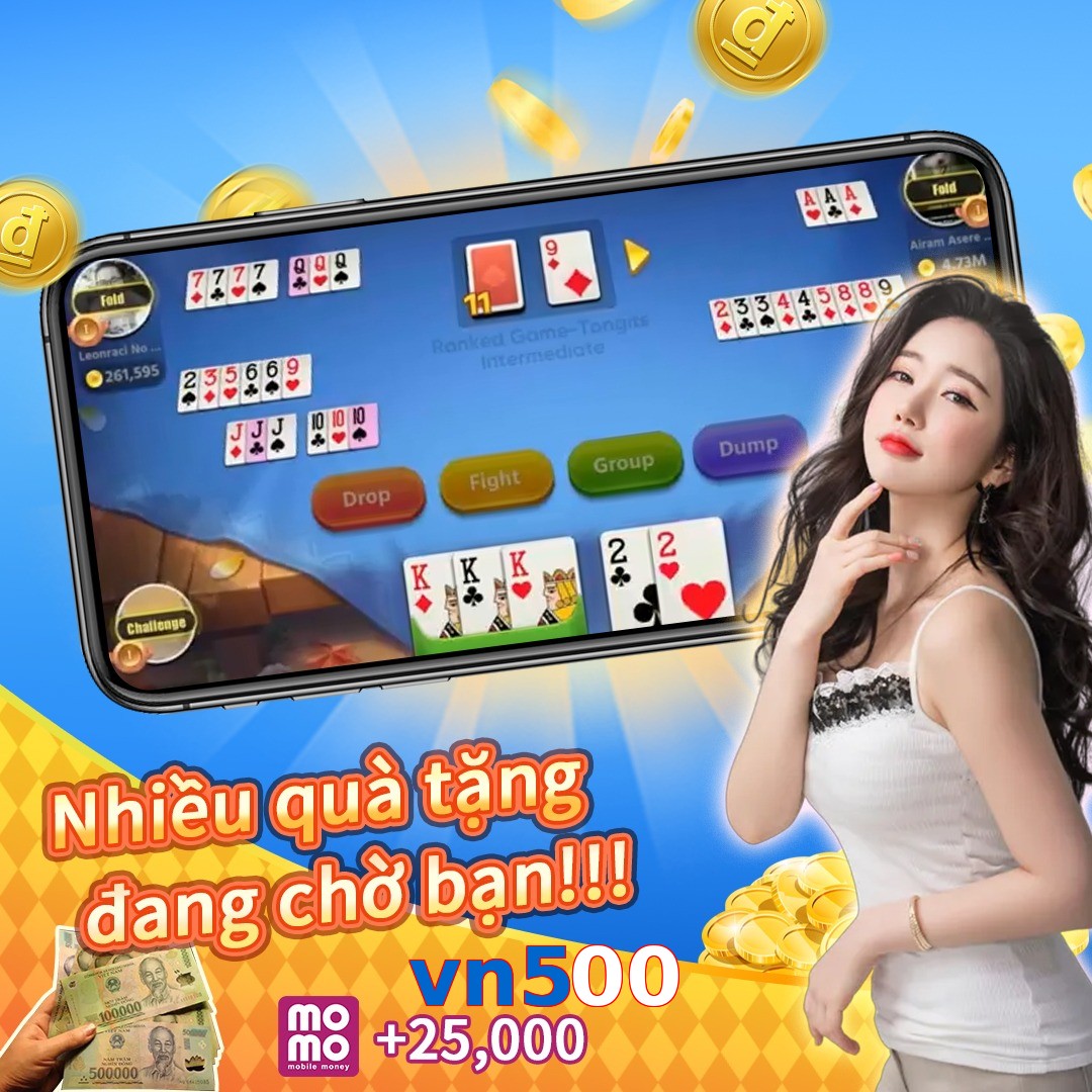 vn500