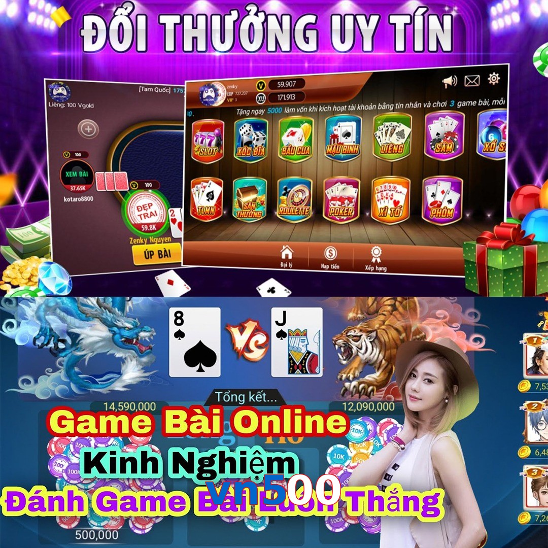 vn500