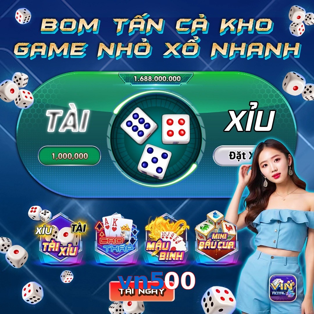 vn500