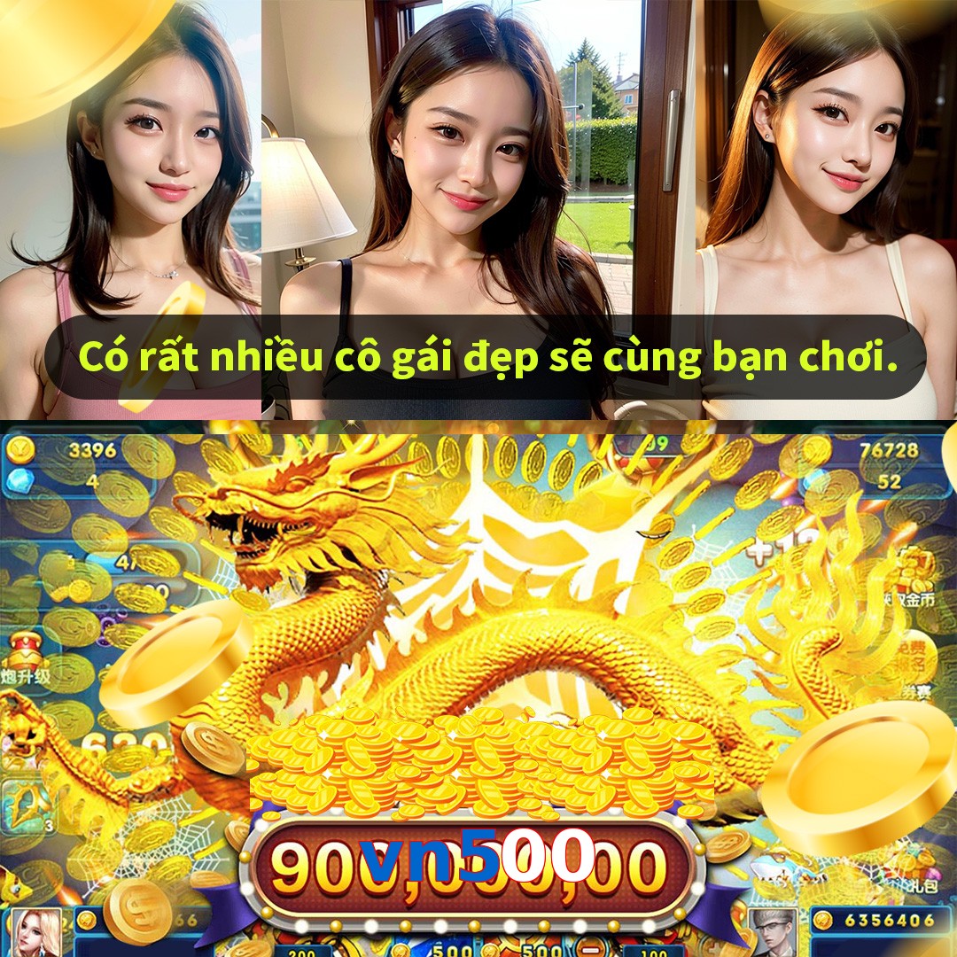 vn500