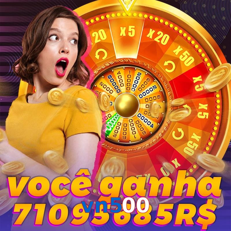 vn500