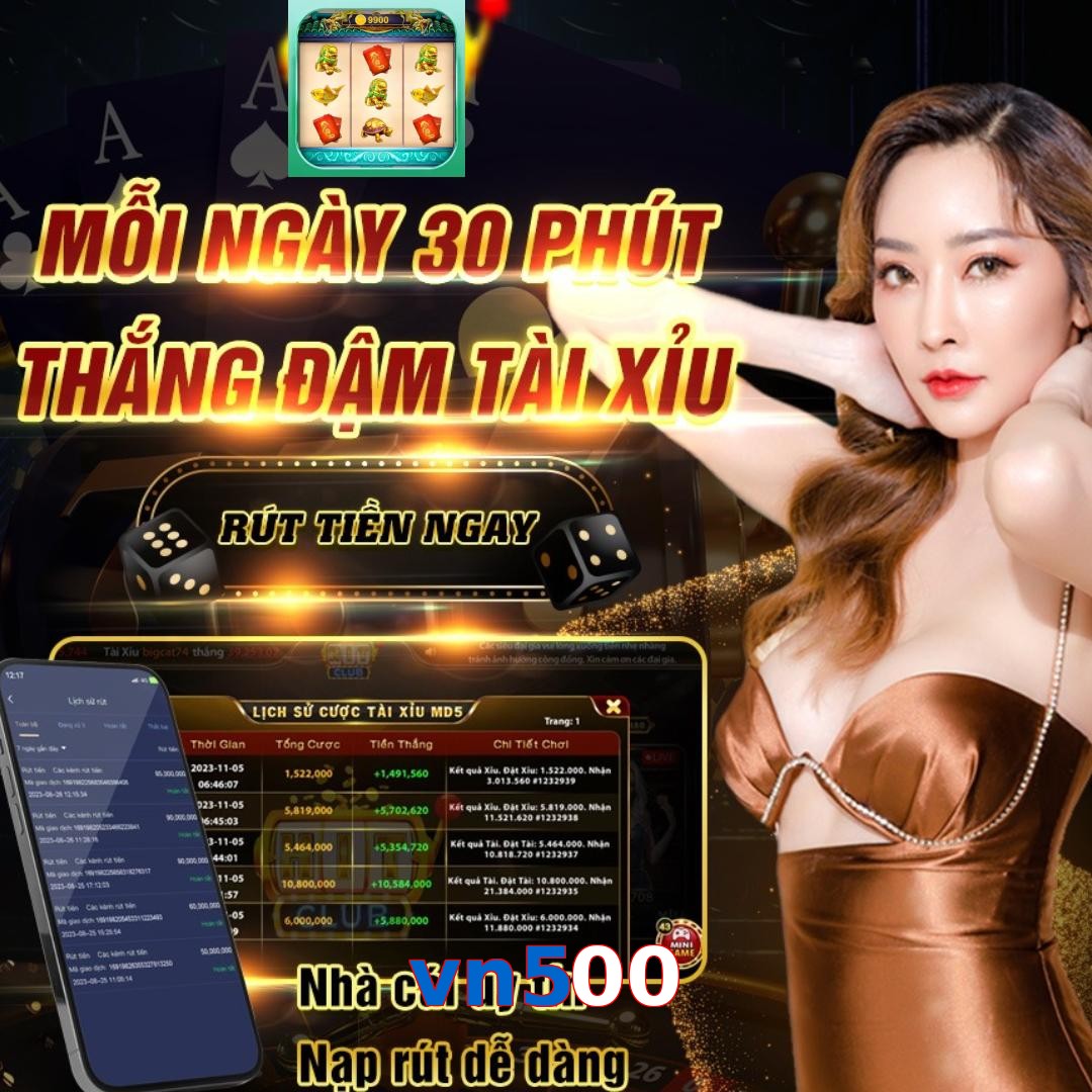 vn500