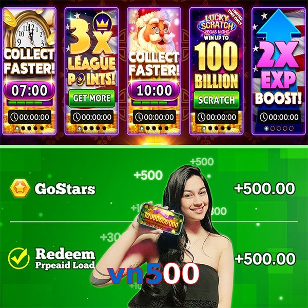 vn500