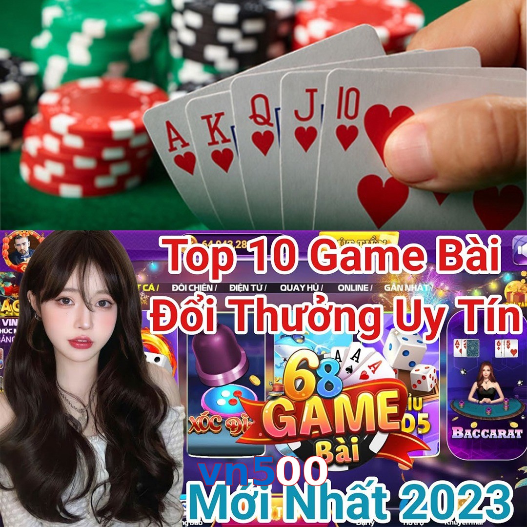vn500
