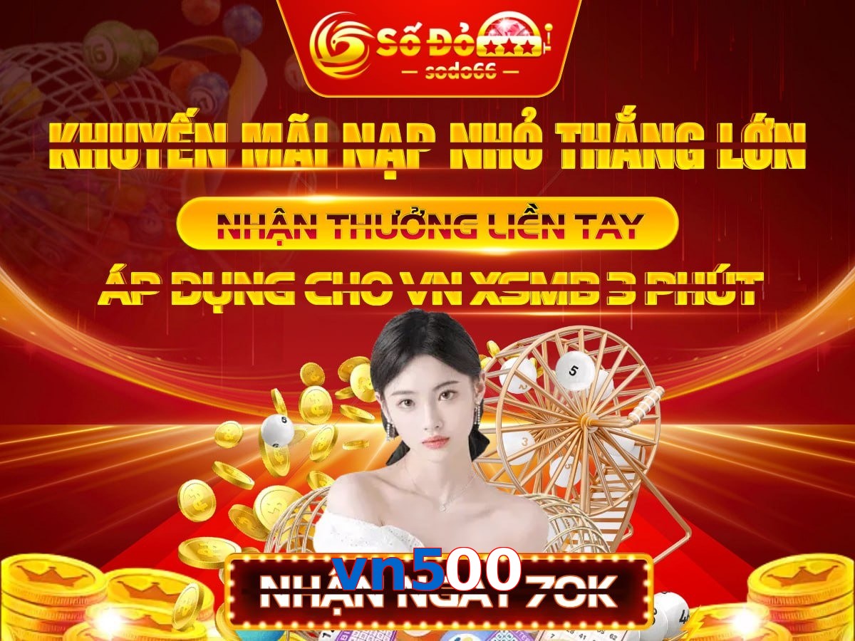 vn500